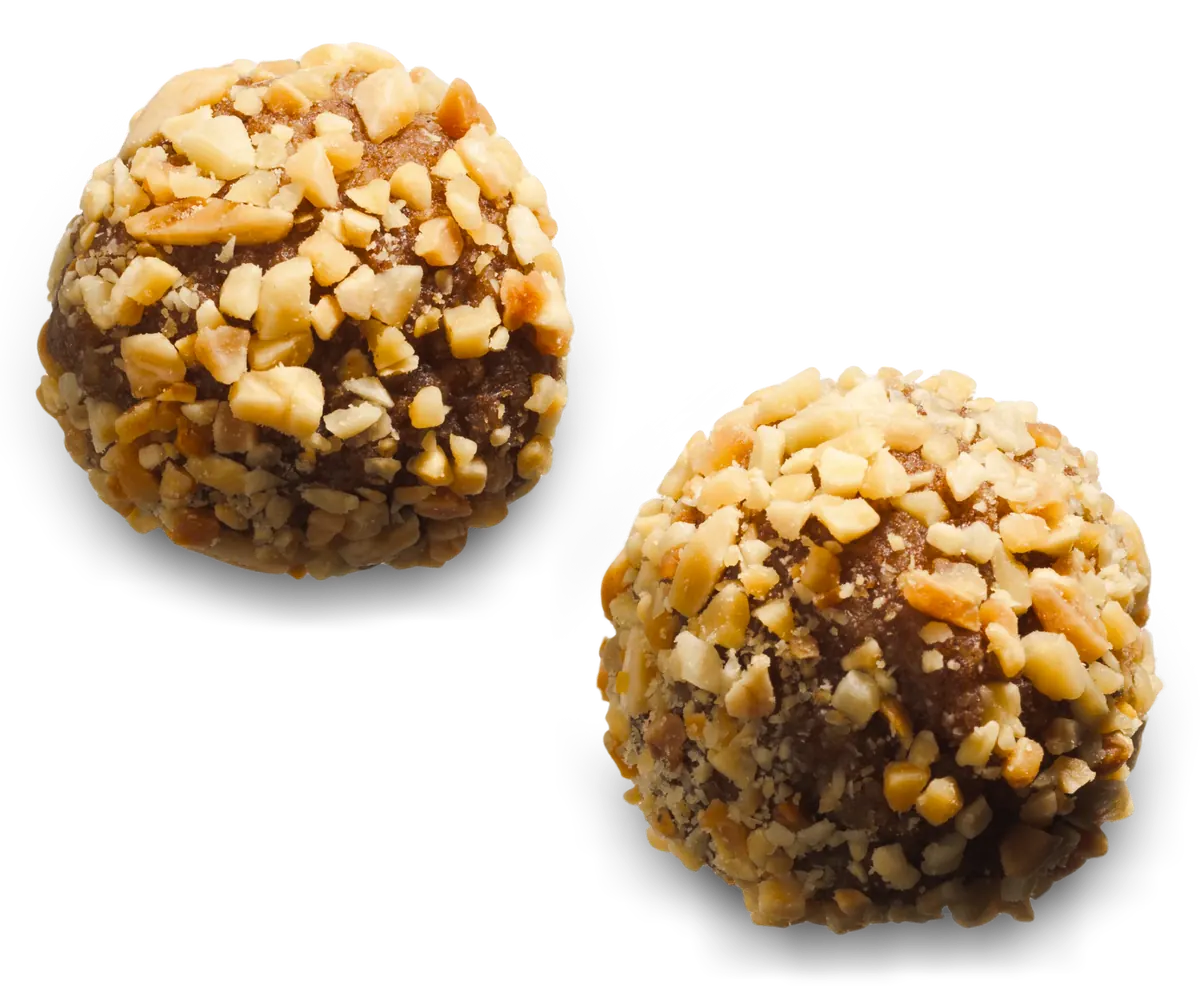 Close-up detail of Date Cinnamon Balls showing texture and craft